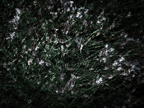 190616-5-11