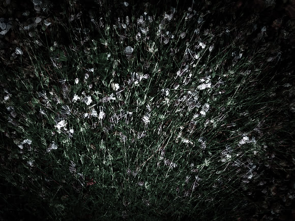 190616-5-1