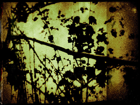 05-219