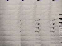 6-24