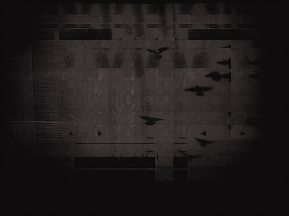 10-113