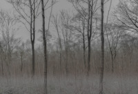 031214 #192