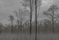 031214 #195