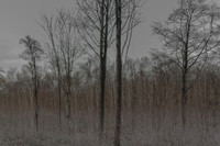 031214 #189