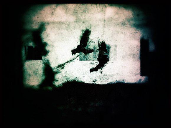19-82