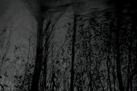 291114 #222-2