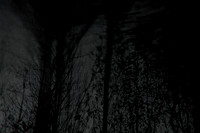 291114 #222-2-2