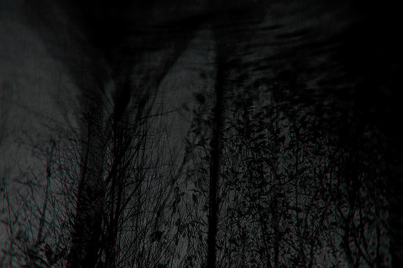 291114 #222-2-2
