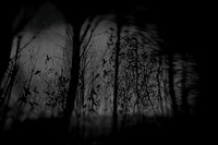 291114 #222-3-2
