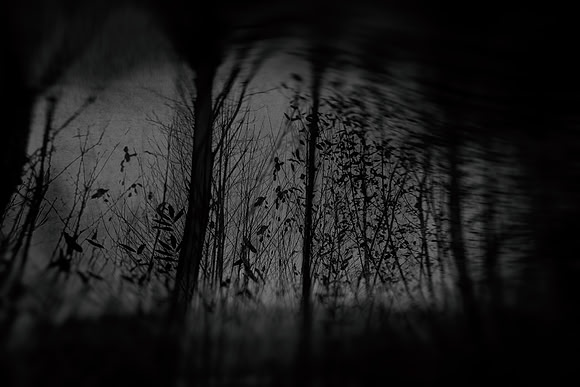 291114 #222-3-2