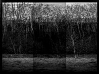 020316-1-11