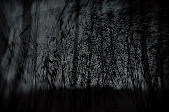 291114 #222-3-3