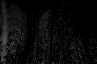 291114 #222-2-3