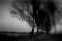 IMG_0387-3