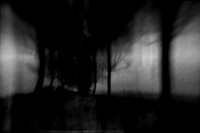 IMG_0369-3