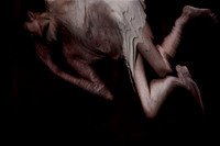 231015-168