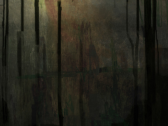 231116-2-2