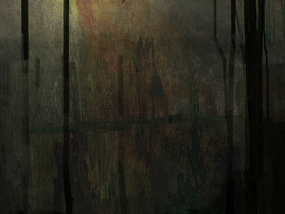 231116-2-9