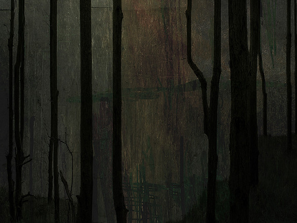 231116-2-4
