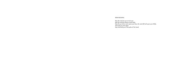 joe book double v1-32