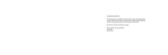 joe book double v1-33