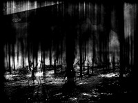 02-51-Edit-2-Edit-Edit-5