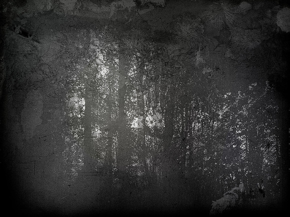 02-61