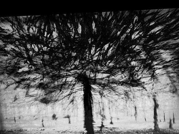 02-55-Edit-2-Edit-5-Edit-5