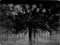 02-55-Edit-2-Edit-2-Edit-11