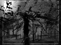02-51-Edit-2-Edit-Edit-3