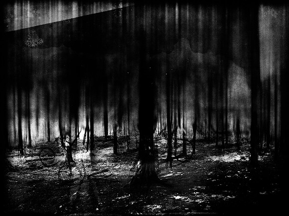 02-51-Edit-2-Edit-Edit-8