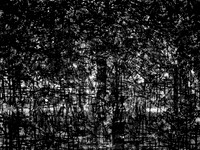 02-51-Edit-2-Edit-2-Edit-2