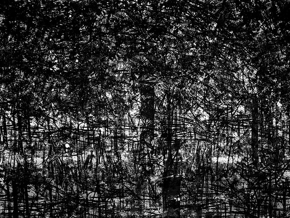 02-51-Edit-2-Edit-2-Edit-2