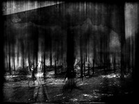 02-51-Edit-2-Edit-Edit-6