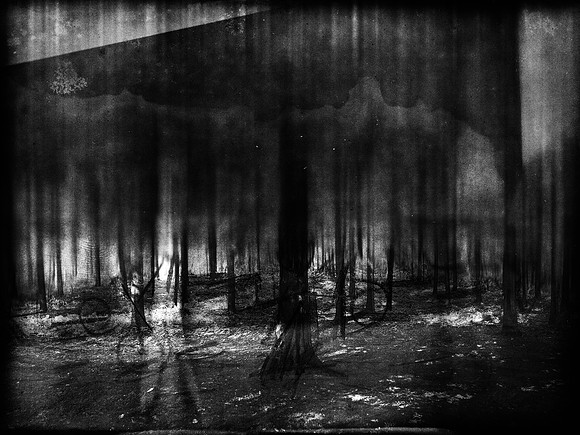 02-51-Edit-2-Edit-Edit-6