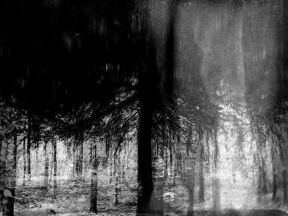 02-55-Edit-2-Edit-2-Edit-8