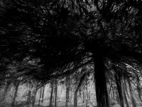 02-55-Edit-2-Edit-2-Edit-7