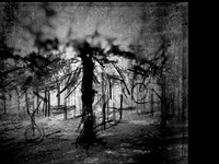02-51-Edit-2-Edit-Edit-21