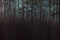 2013-01-17-22-5