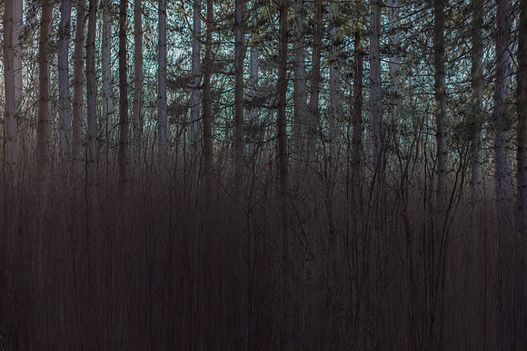 2013-01-17-22-5