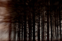 110214 #251-12-6