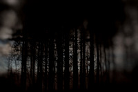 110214 #251-16