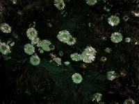2-15