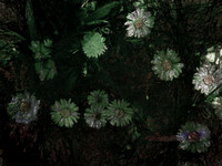 2-8