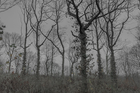 051214-162