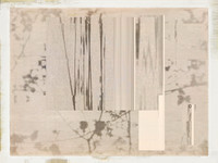 2-29