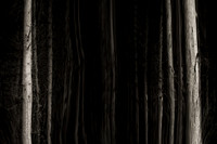 2013-10-03-263-5