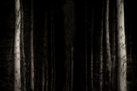 2013-10-03-263-2