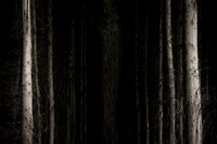 2013-10-03-263-3