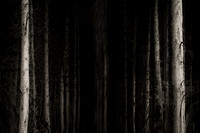 2013-10-03-263-4